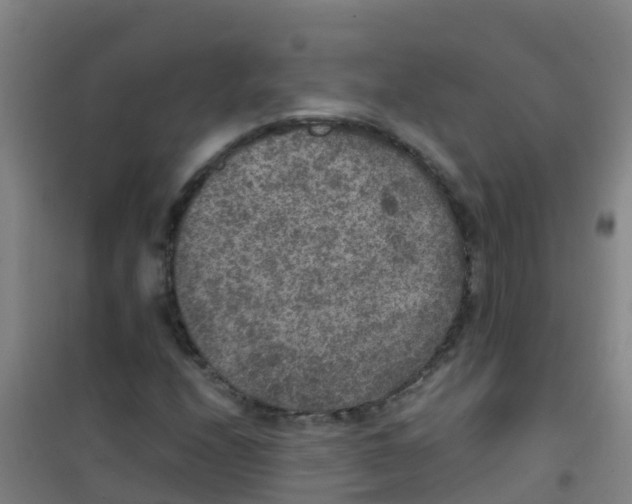 X0000100421208200807032053