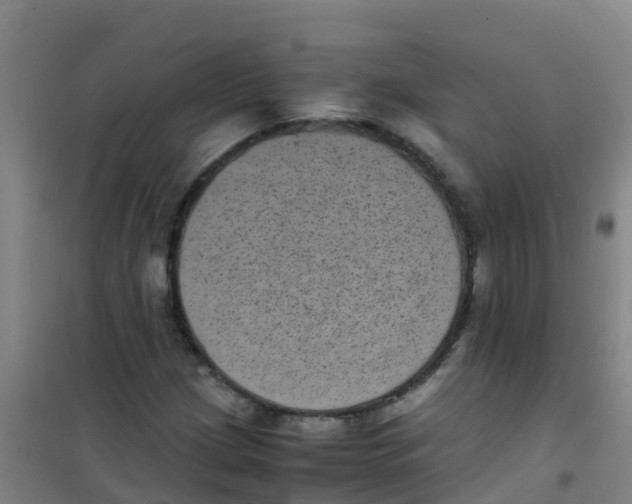 X0000100421209200807032053