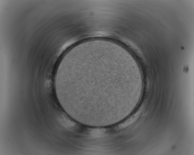 X0000100421210200807032053