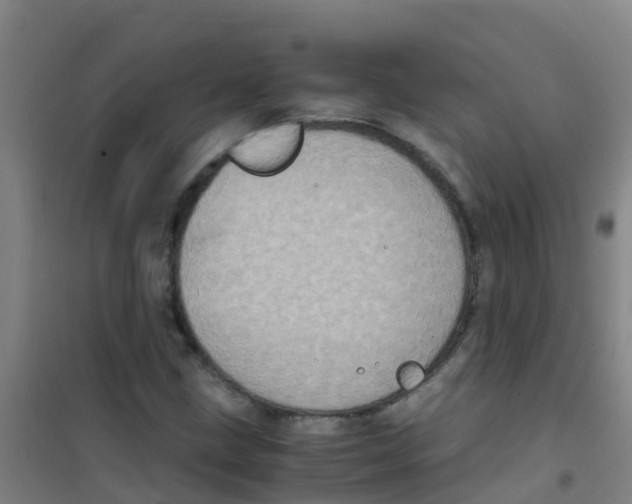 X0000100421211200807032053