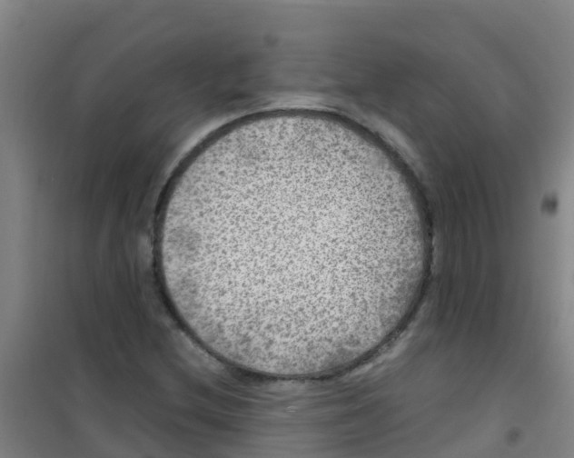 X0000100421212200807032053