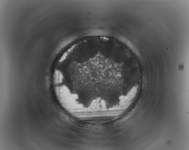 X0000100421213200807032053