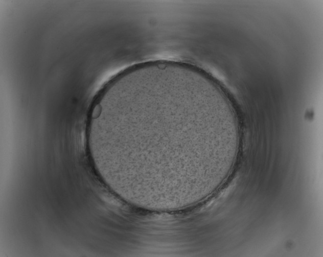 X0000100421214200807032053