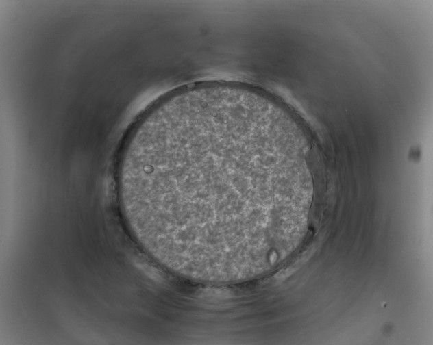 X0000100421215200807032053