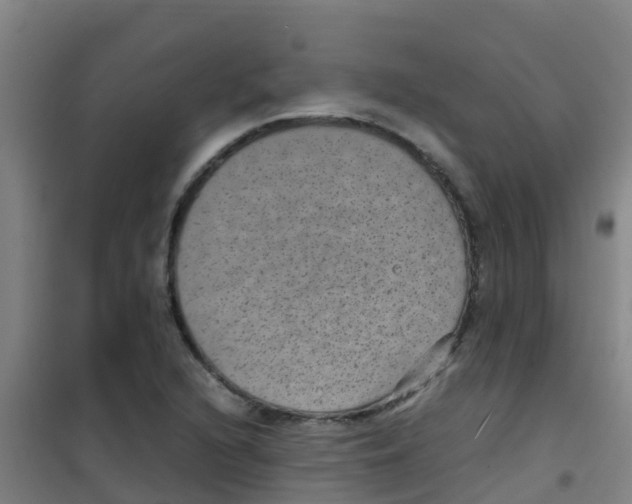 X0000100421216200807032053