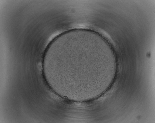 X0000100421218200807032053