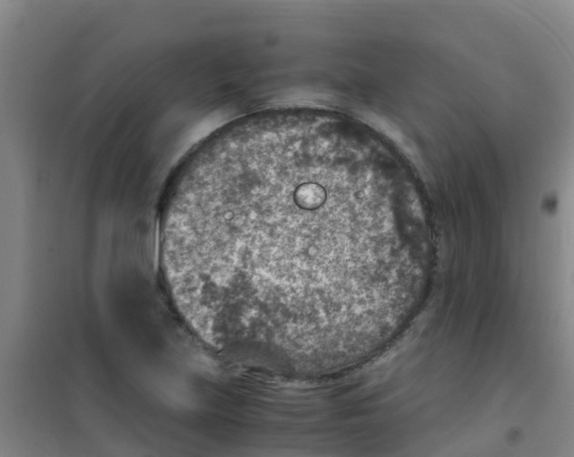 X0000100421219200807032053