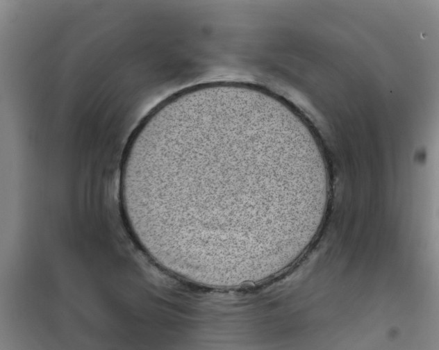 X0000100421220200807032053