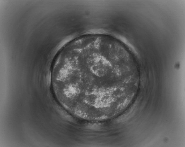 X0000100421221200807032053