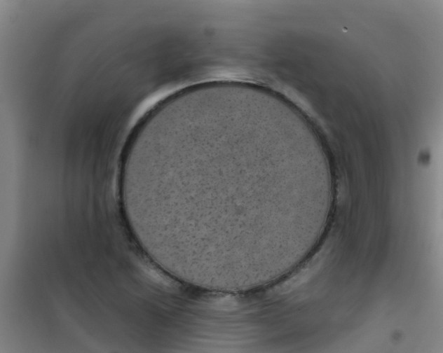 X0000100421222200807032053