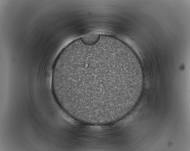 X0000100421227200807032053