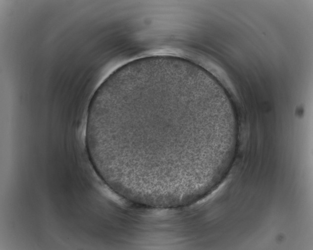 X0000100421228200807032053