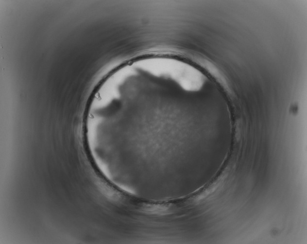 X0000100421229200807032053