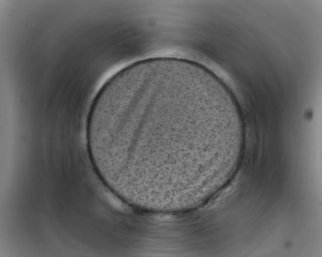 X0000100421230200807032053