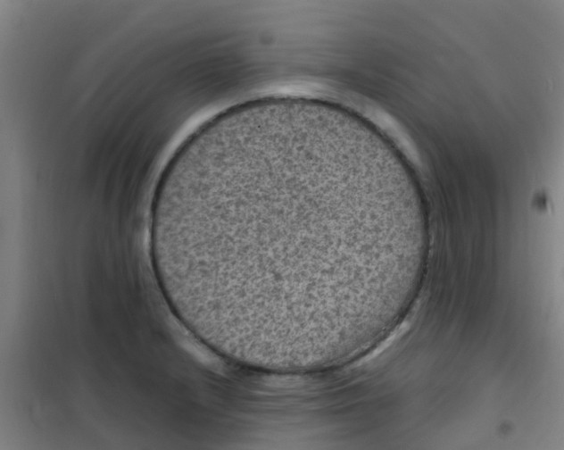 X0000100421232200807032053