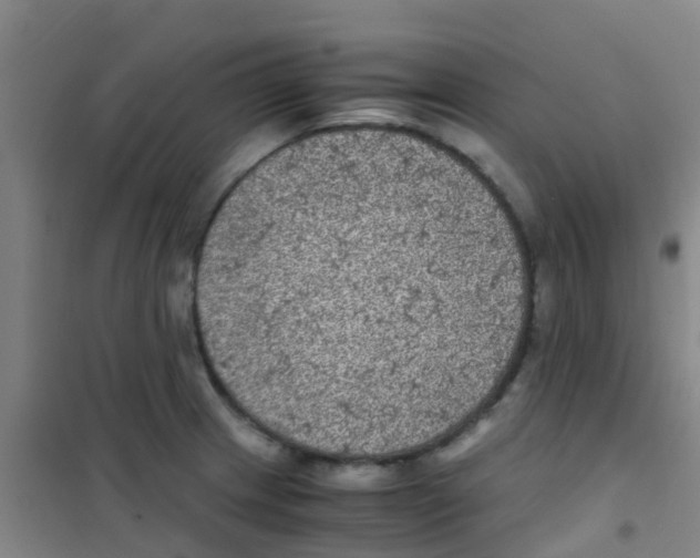 X0000100421233200807032053