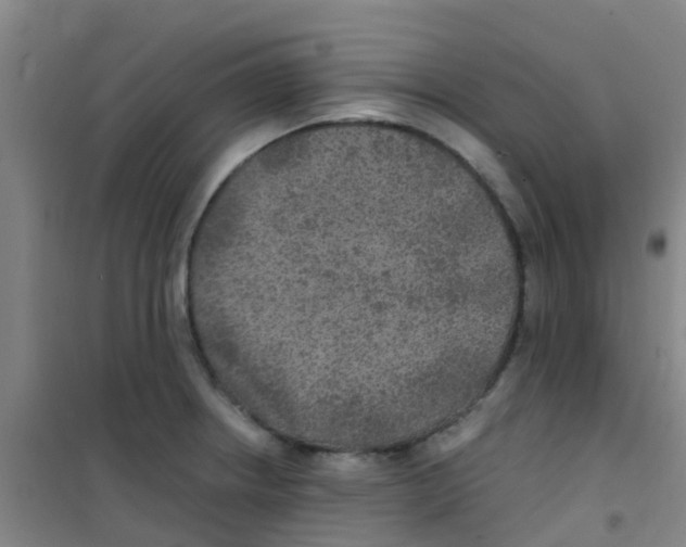 X0000100421234200807032053