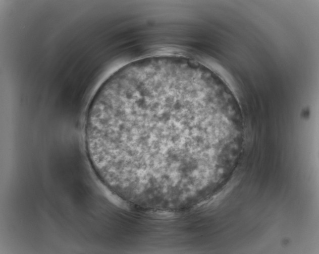 X0000100421235200807032053