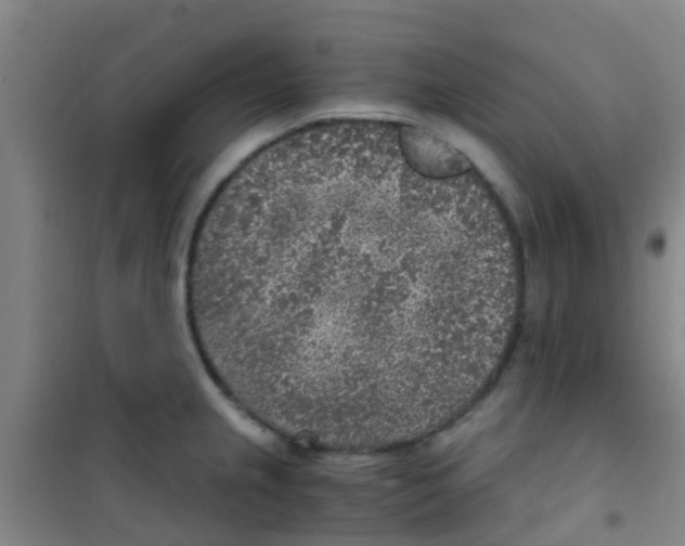 X0000100421237200807032053