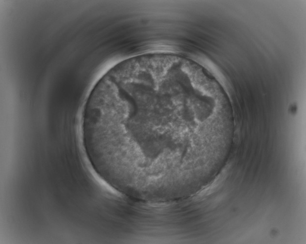 X0000100421243200807032053