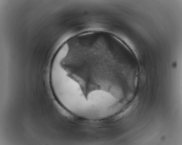 X0000100421245200807032053