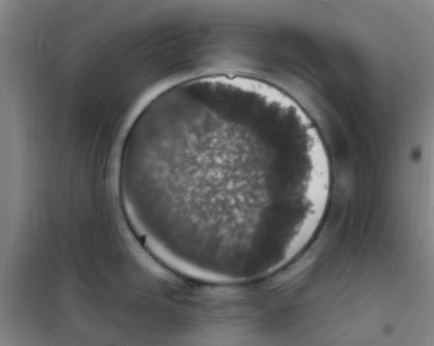 X0000100421246200807032053