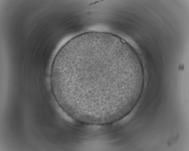 X0000100421248200807032053