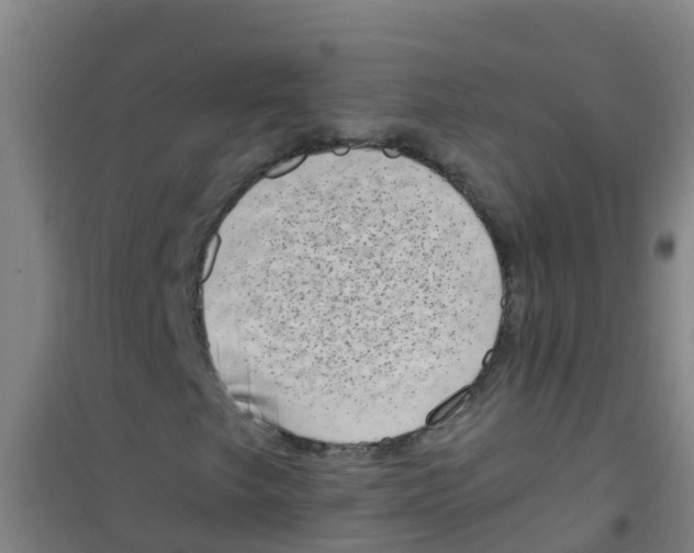 X0000100421249200807032053