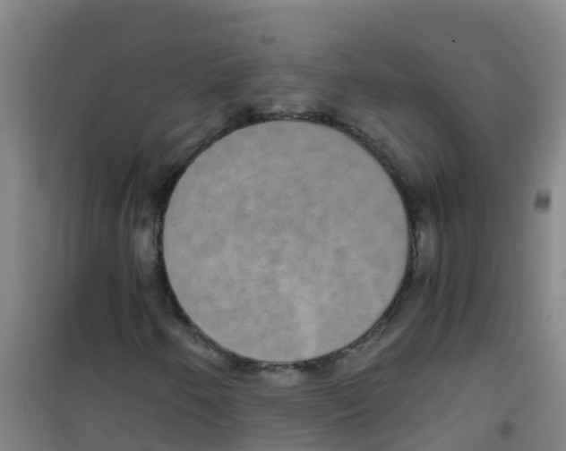 X0000100421250200807032053