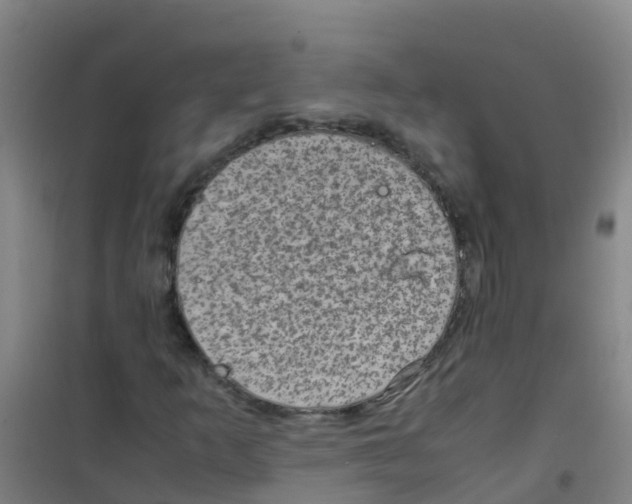 X0000100421253200807032053