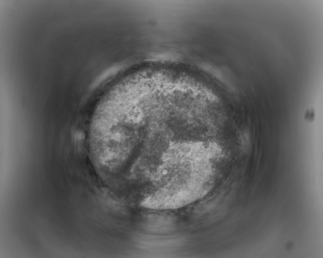 X0000100421254200807032053