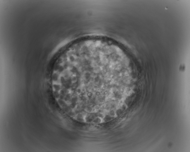 X0000100421255200807032053