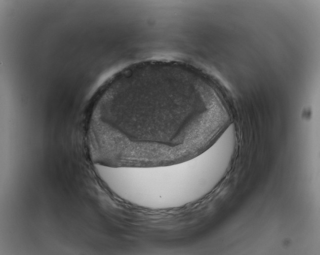 X0000100421256200807032053