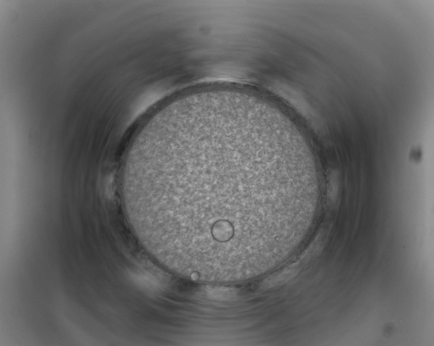 X0000100421258200807032053