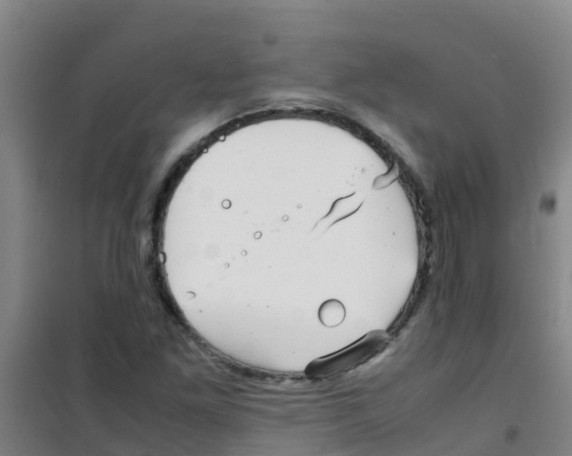 X0000100421261200807032052