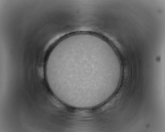 X0000100421262200807032052