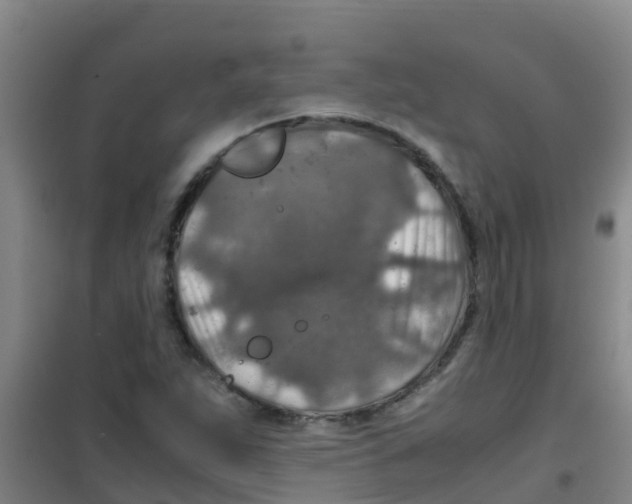 X0000100421263200807032052