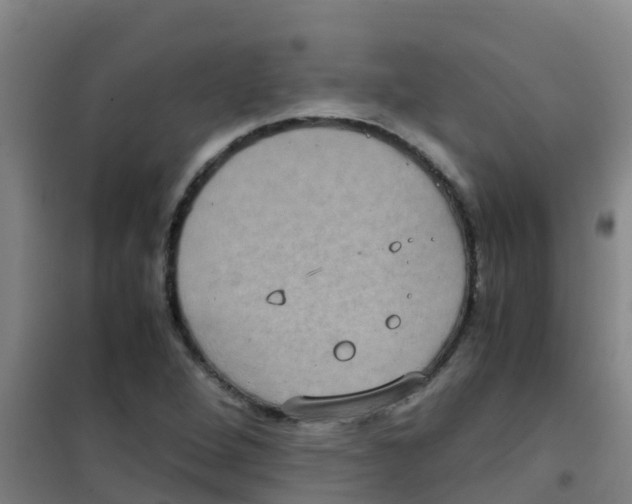 X0000100421264200807032052