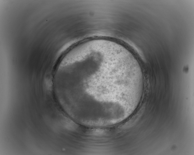 X0000100421266200807032052