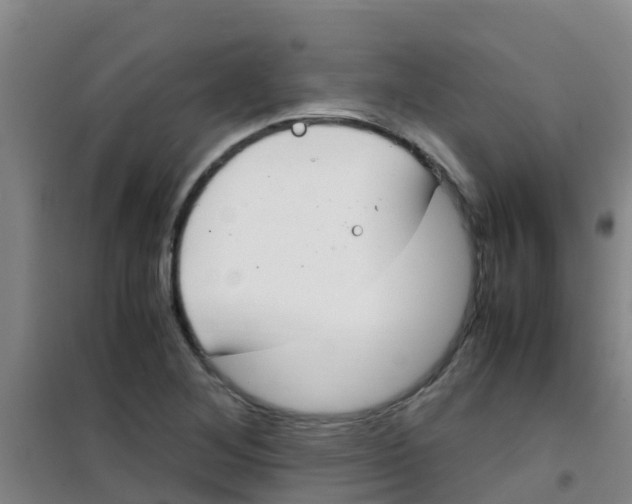 X0000100421268200807032052