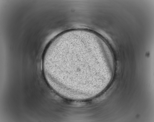 X0000100421269200807032052