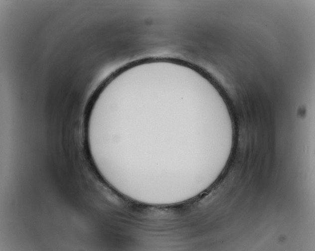 X0000100421270200807032052