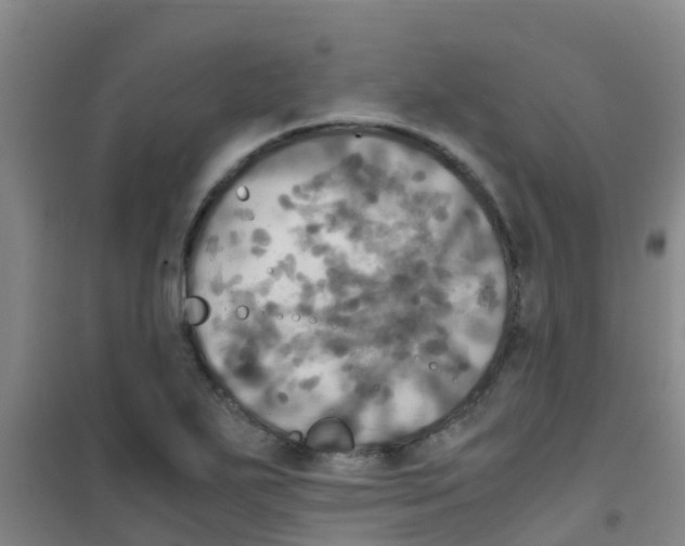 X0000100421271200807032052