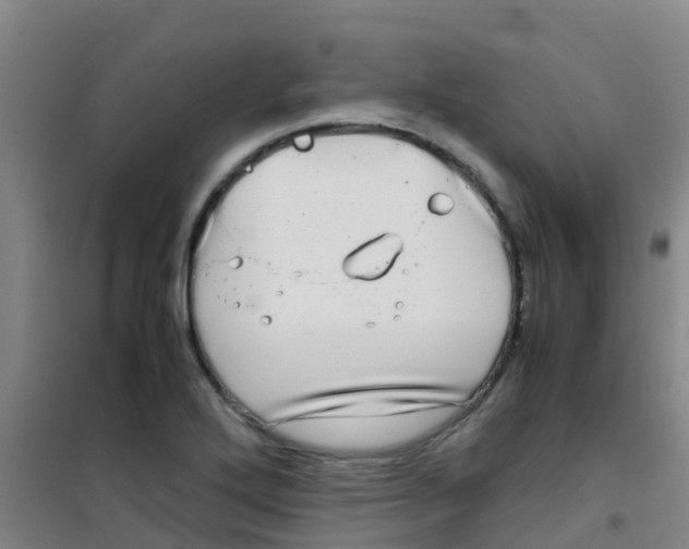 X0000100421272200807032052