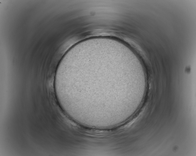 X0000100421273200807032052