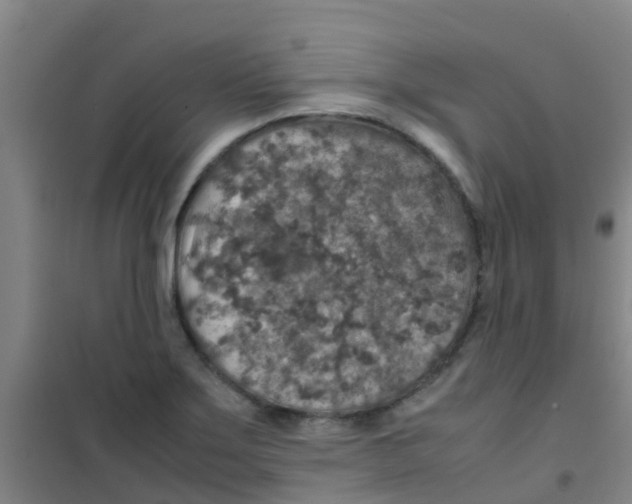 X0000100421275200807032052