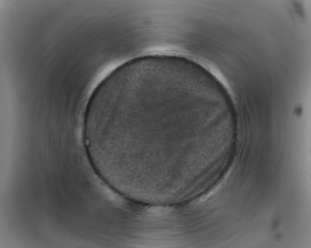 X0000100421277200807032052