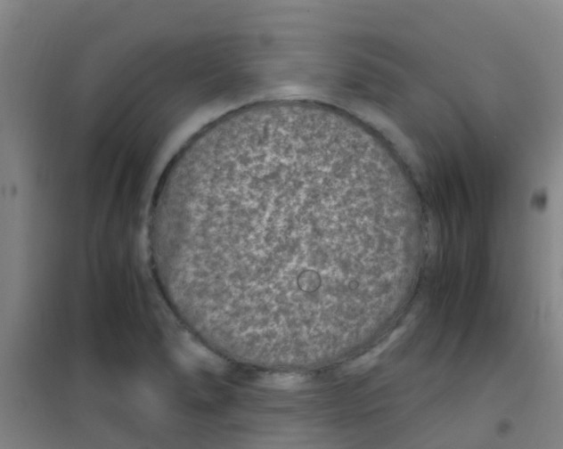 X0000100421278200807032052