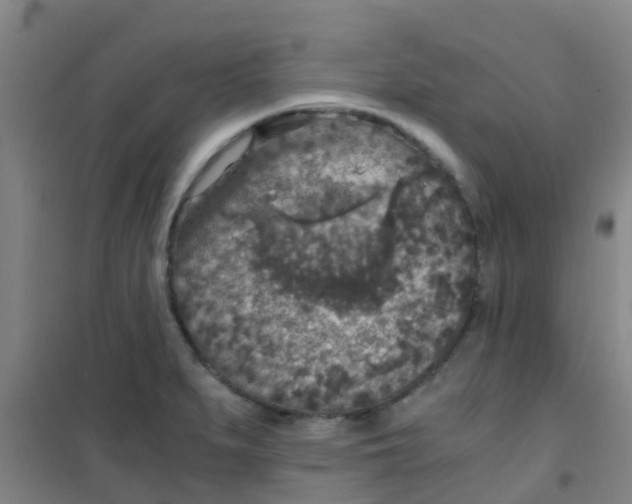 X0000100421279200807032052