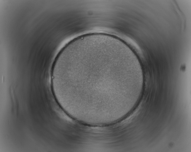 X0000100421280200807032052